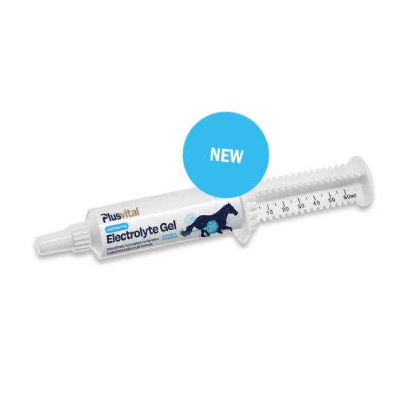 Electrolyte Gel Plusvital 60ml
