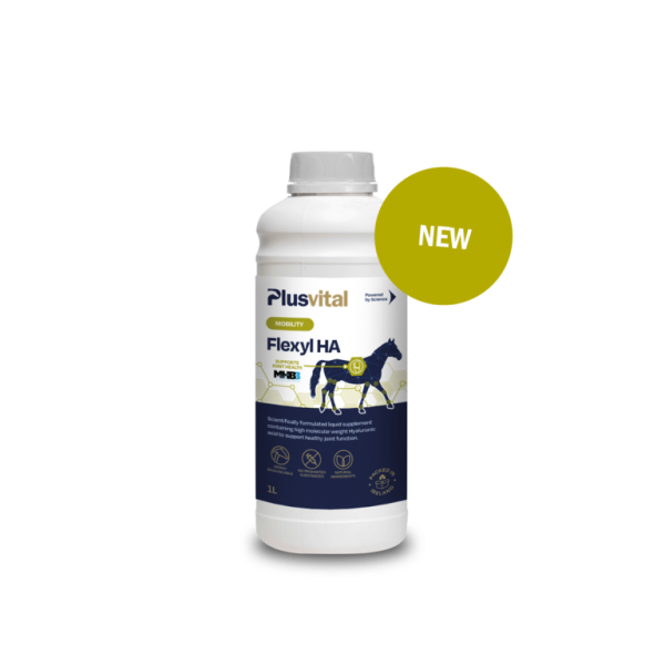 SUPLEMENTO LÍQUIDO PARA ARTICULAÇÕES FLEXYL HA PLUSVITAL