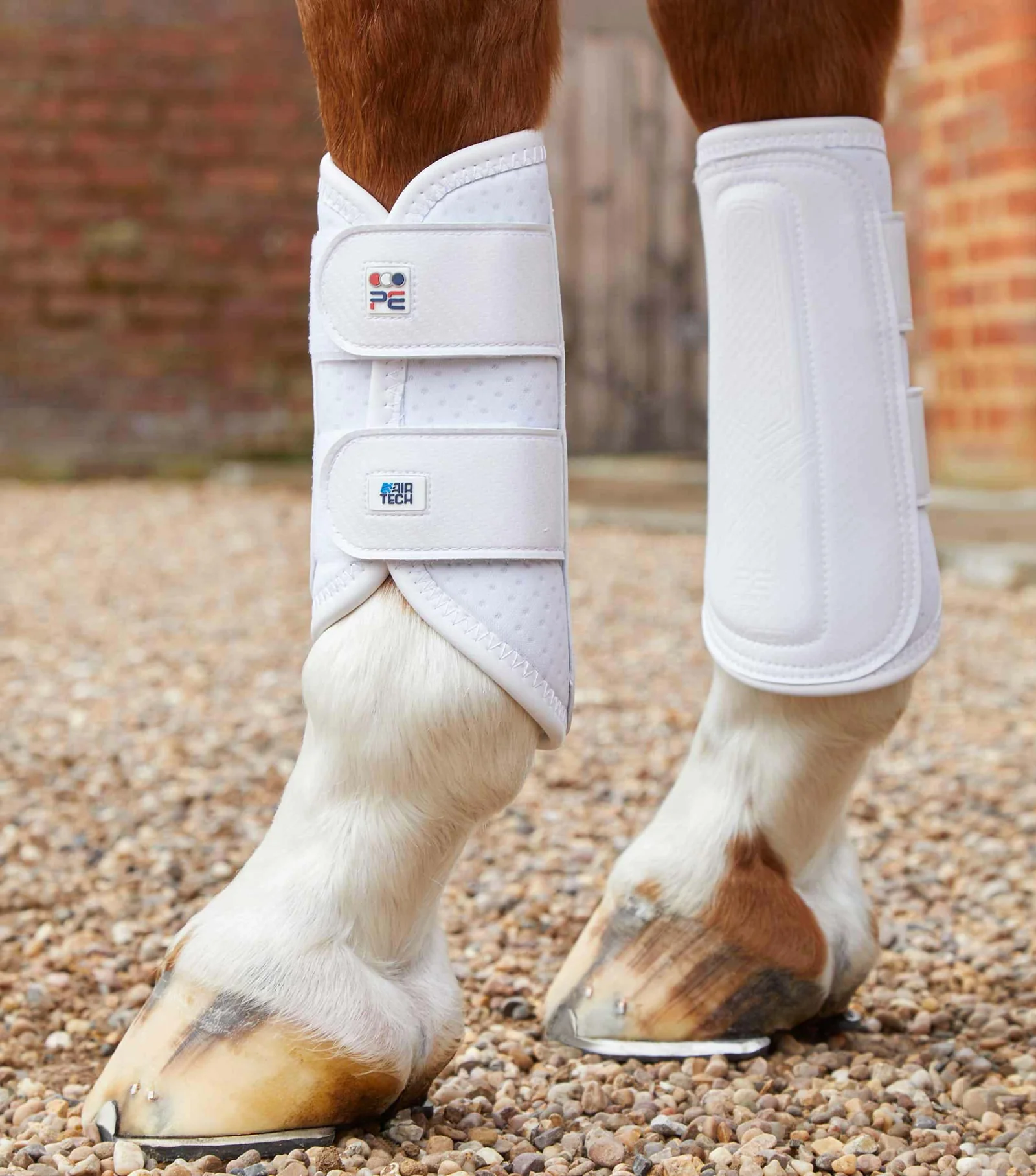 CANELEIRAS CARBON AIR-TECH DOUBLE LOCKING PREMIER EQUIN