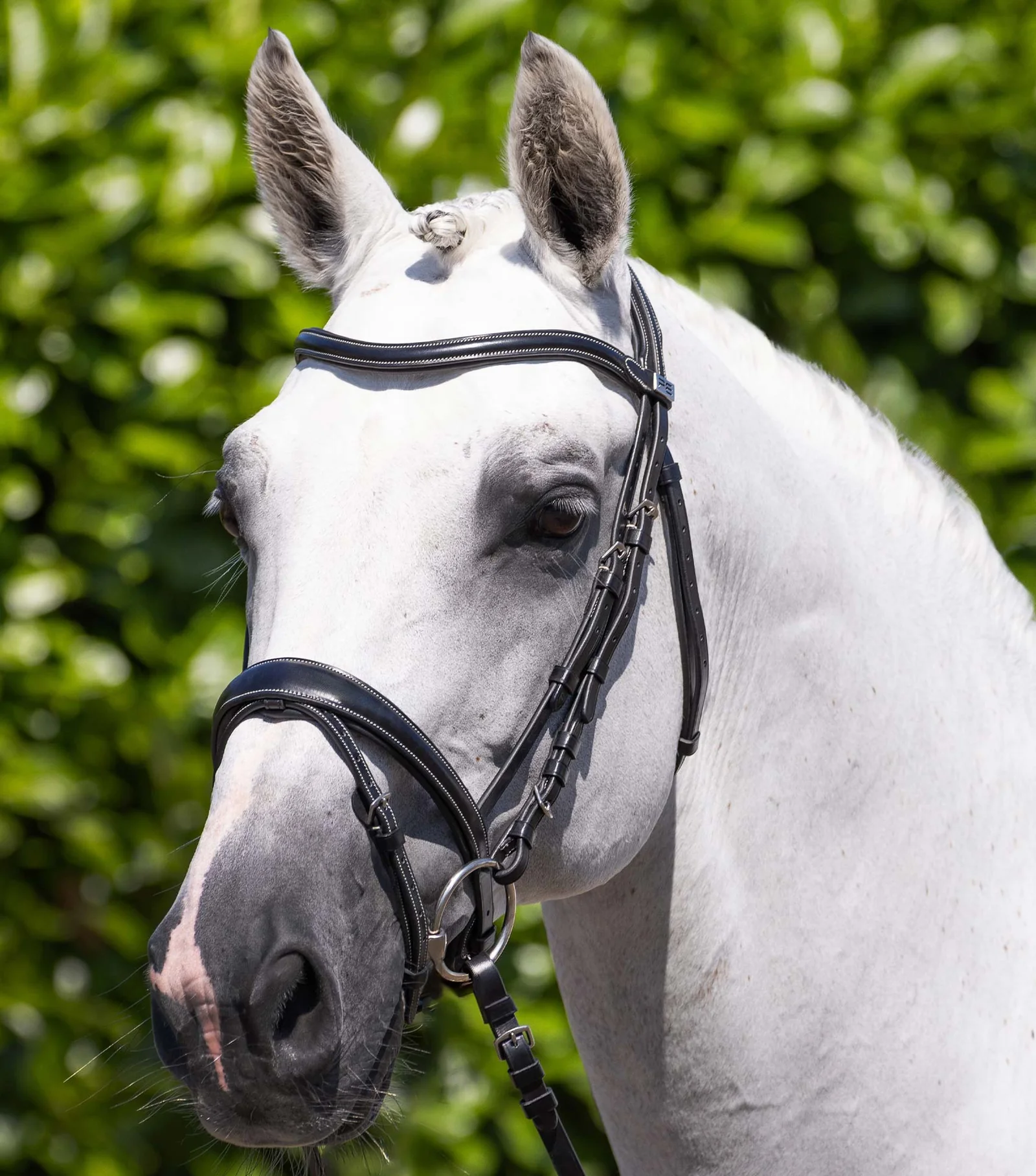 CABEÇADA CASSANO SNAFFLE PREMIER EQUINE