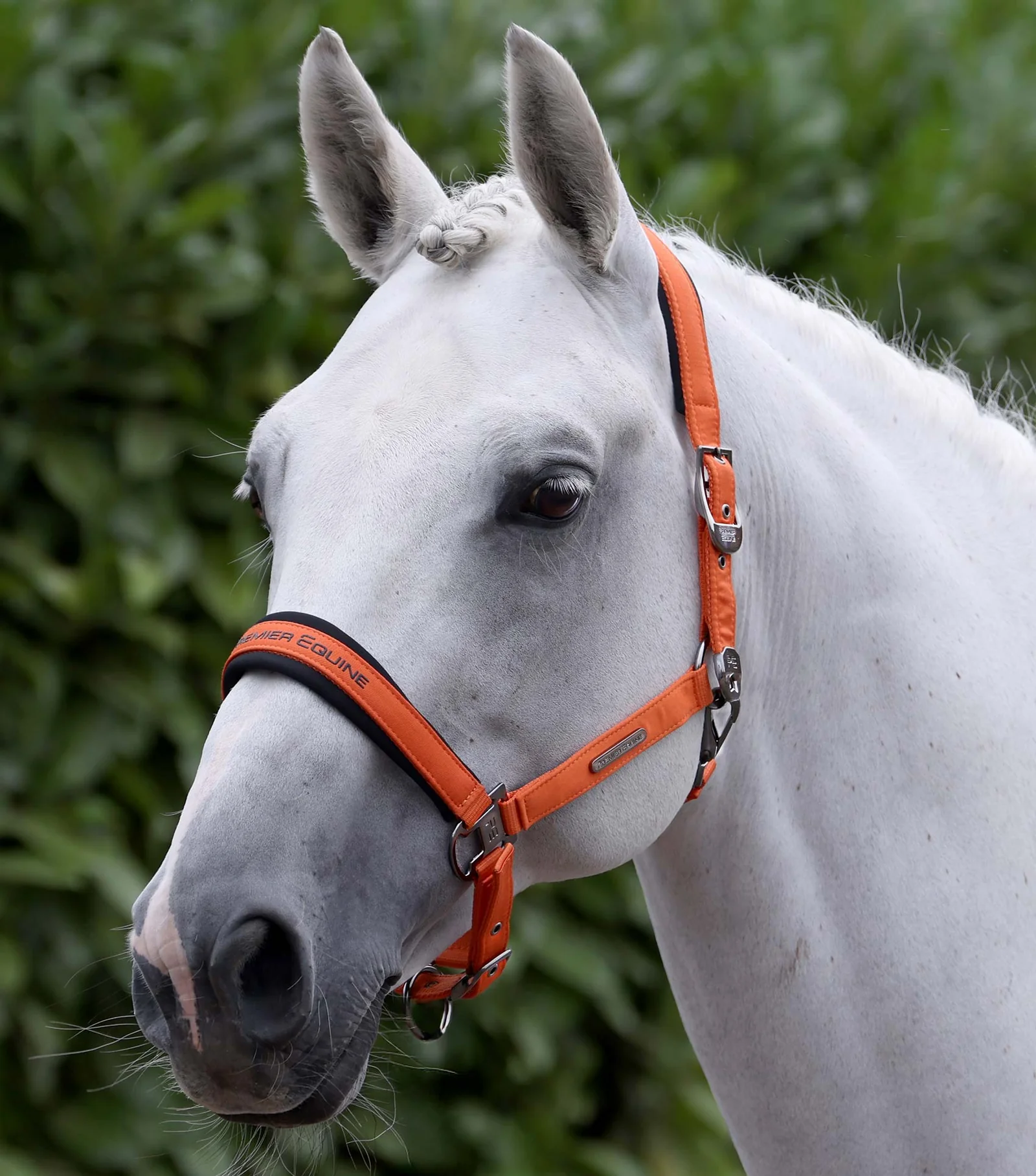 CABEÇAO DUCO COM CORDA DE GUIA ORANGE PREMIER EQUINE
