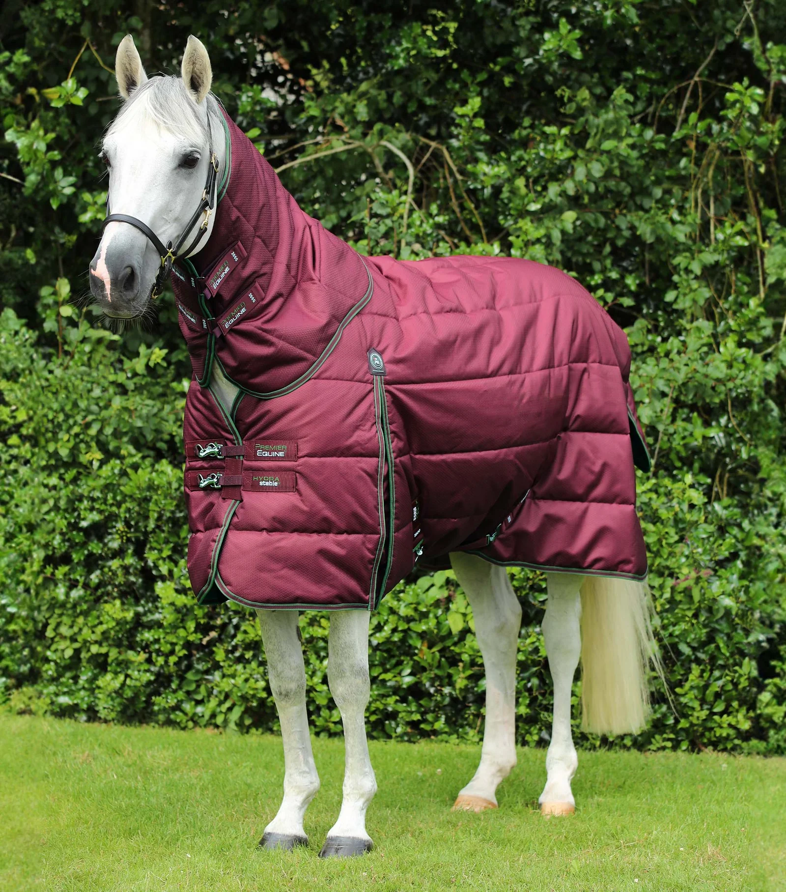 COBREJAO HYDRA 350G COM COBERTURA DE PESCOÇO PREMIER EQUINE