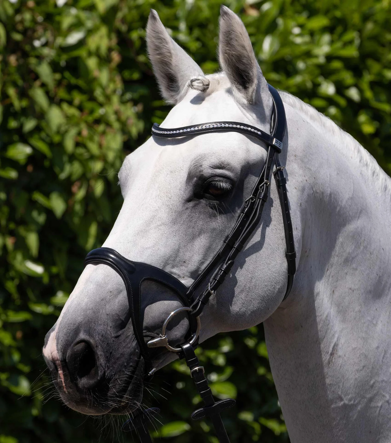 CABEÇADA SAN PAOLO ANATOMICAL PREMIER EQUINE