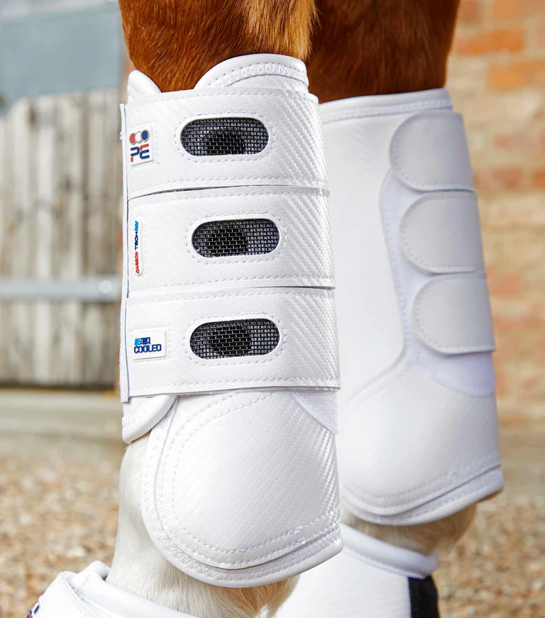 CANELEIRAS CARBON TECH AIR COOLED PREMIER EQUIN