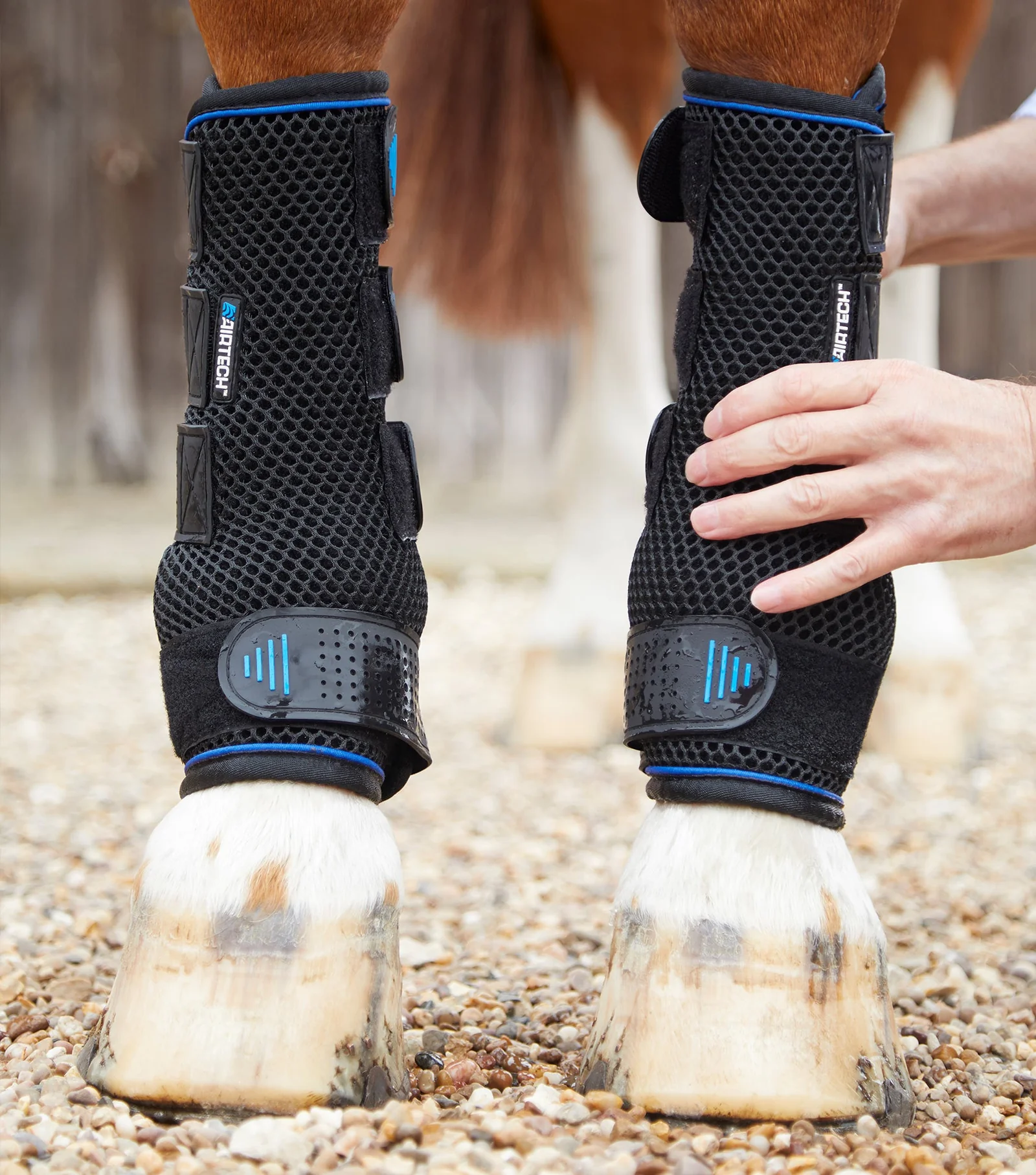 COLD WATER COMPRESSION BOOTS  PREMIER EQUINE