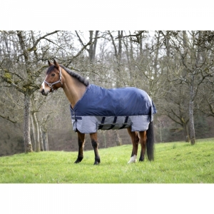 COBREJAO TYPEX 600D CINTO ABDOMINAL EQUITHÈME