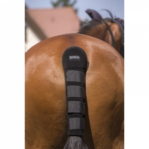 RABICHEIRA  NORTON HIGH PROTECTION
