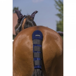 RABICHEIRA  NORTON HIGH PROTECTION